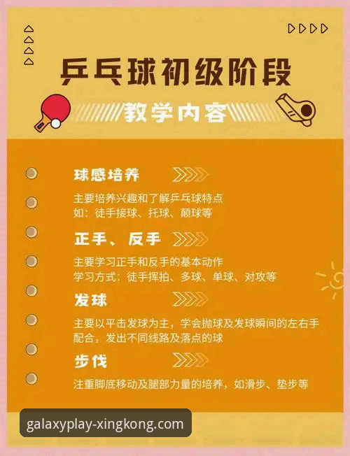 星空体育平台互动体验完整操作教程：从入门到精通2026新版